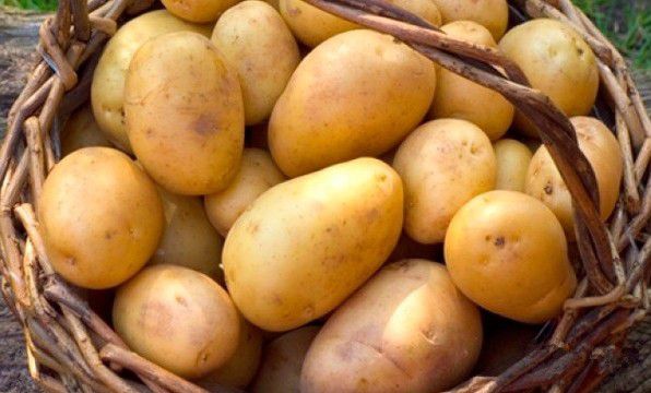 Картофель домашний, огурцы, урожай 2017 года - 0