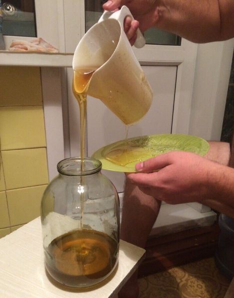 Продается мёд. Башкирский. Свежий сбор - 0