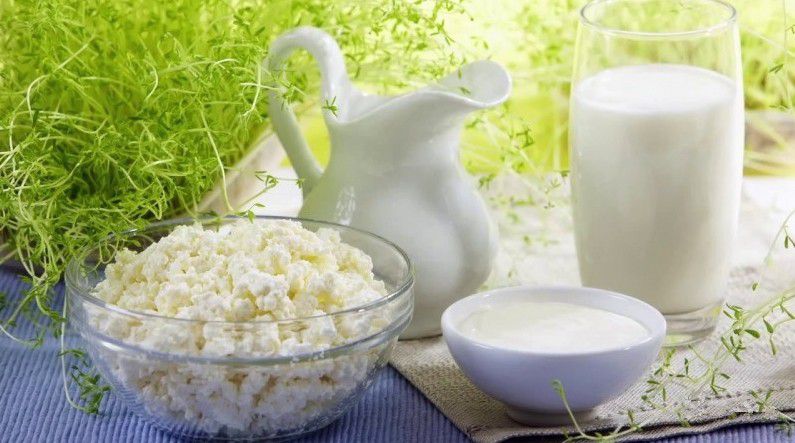 Домашняя молочная продукция - 0