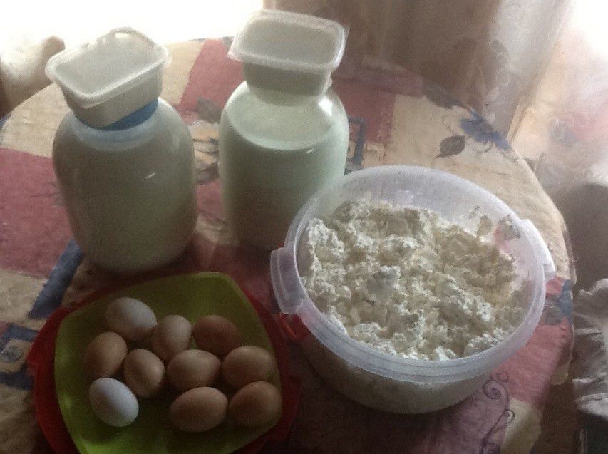 Домашние молочные продукты - 0