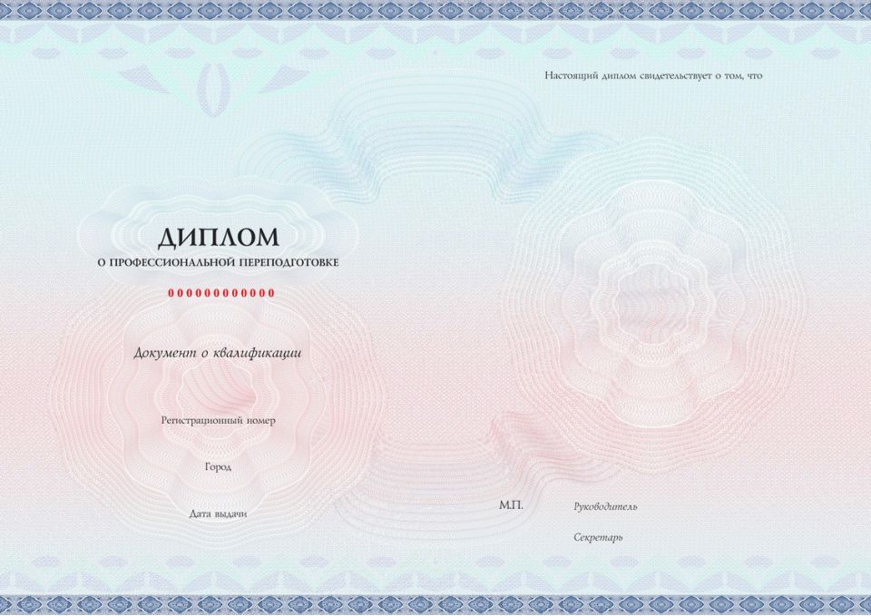 Преподаватель высшей школы. Диплом. Обучение дистанционно. - 0