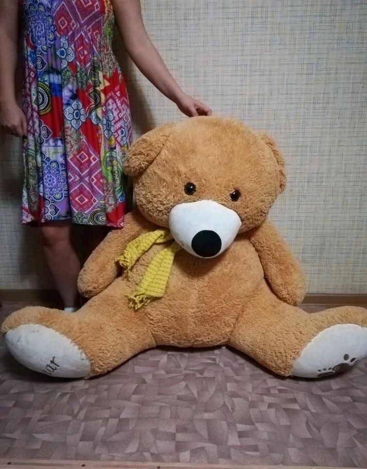 Плюшевый медведь - 0