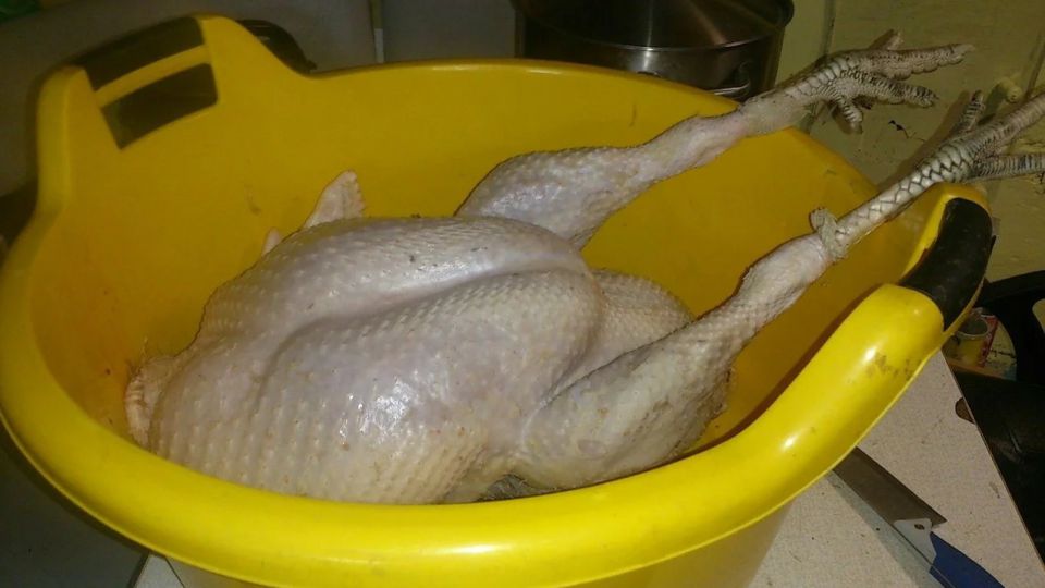 Домашнее мясо индейки - 0