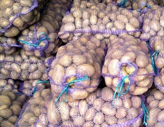 Овощи: картофель, морковь, свекла, капуста, орехи - 0