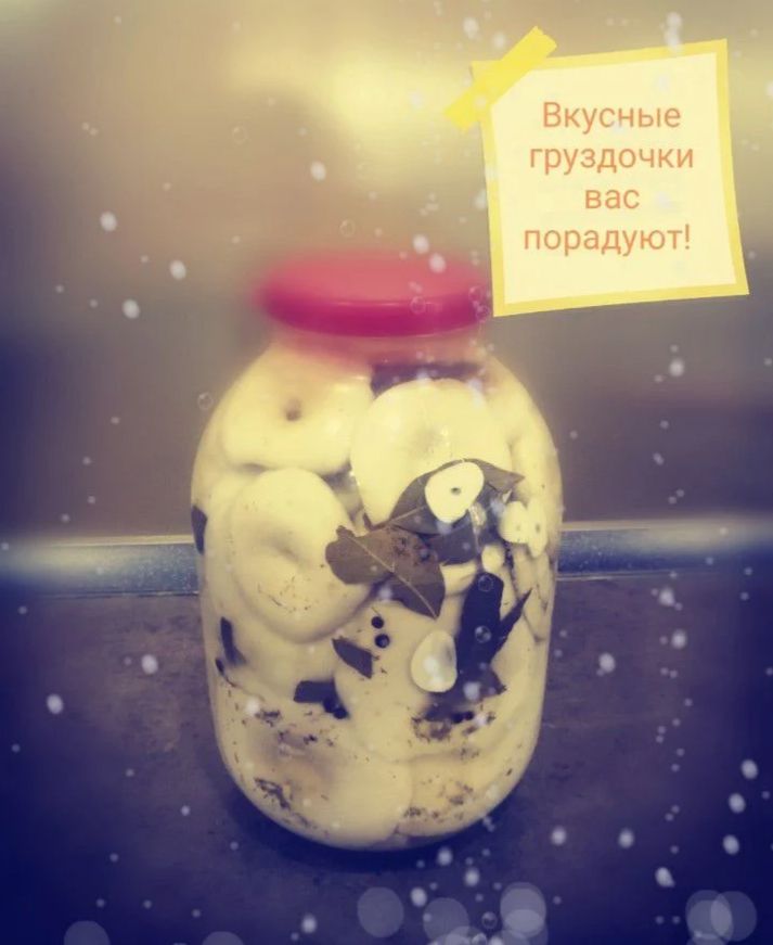 Грибы грузди варёно соленые - 0