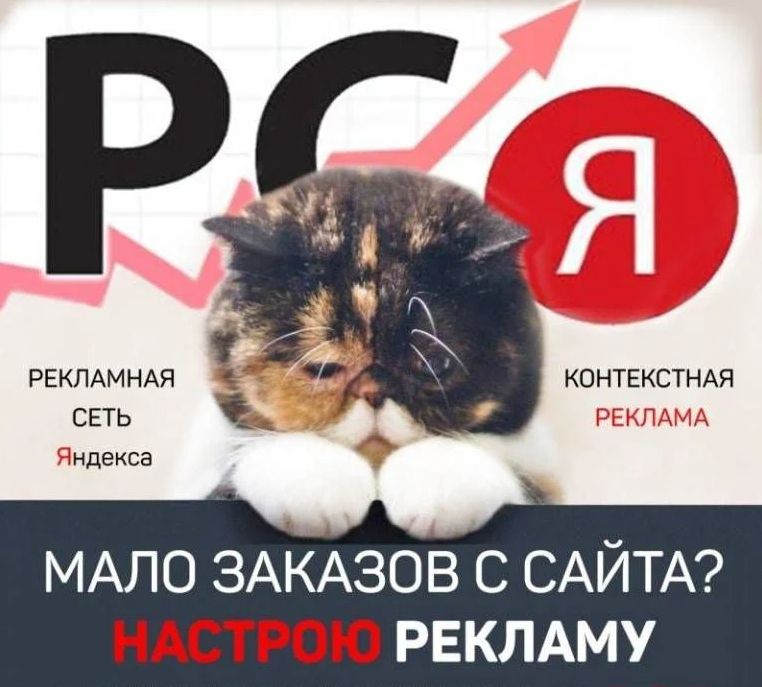 Настрою рекламу Яндекс директ и Google Adwords. - 0