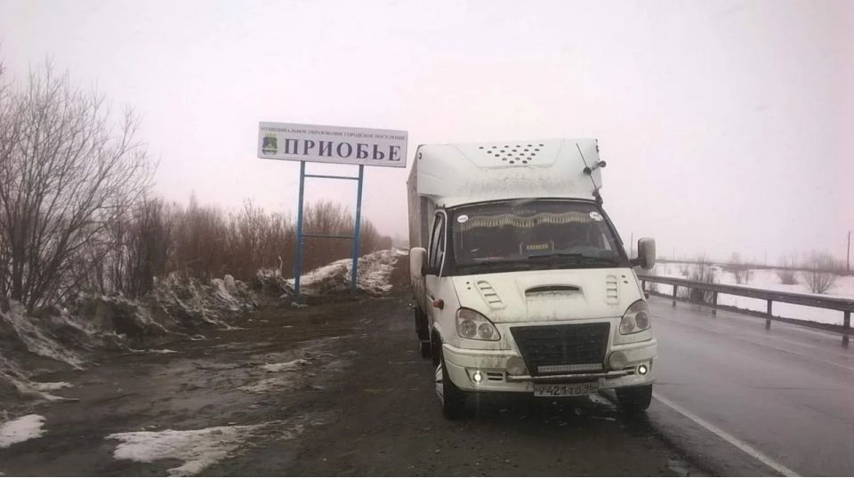 Междугородние перевозки грузов. (реф) - 0